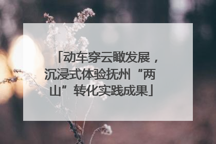 动车穿云瞰发展，沉浸式体验抚州“两山”转化实践成果