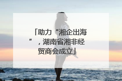 助力“湘企出海”，湖南省湘非经贸商会成立