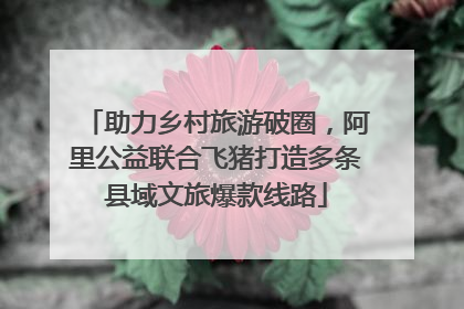 助力乡村旅游破圈，阿里公益联合飞猪打造多条县域文旅爆款线路