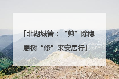北湖城管：“剪”除隐患树“修”来安居行