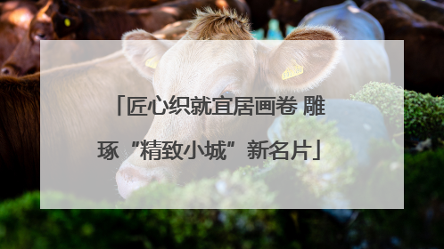 匠心织就宜居画卷 雕琢“精致小城”新名片