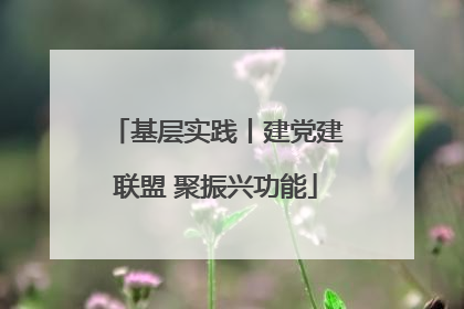 基层实践丨建党建联盟 聚振兴功能