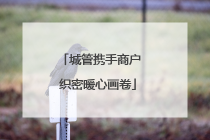 城管携手商户 织密暖心画卷