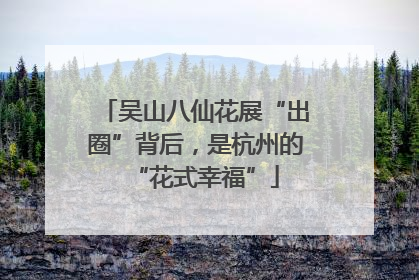 吴山八仙花展“出圈”背后，是杭州的“花式幸福”