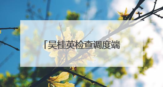 吴桂英检查调度端午假期重点工作