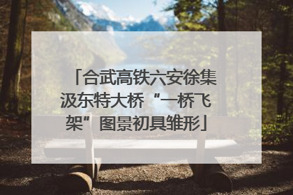 合武高铁六安徐集汲东特大桥“一桥飞架”图景初具雏形