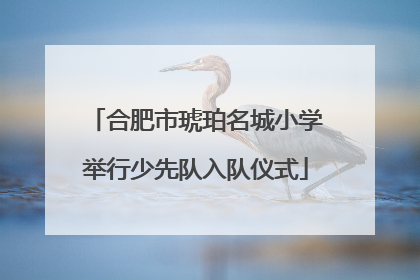 合肥市琥珀名城小学举行少先队入队仪式