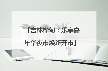吉林桦甸：乐享嘉年华夜市焕新开市