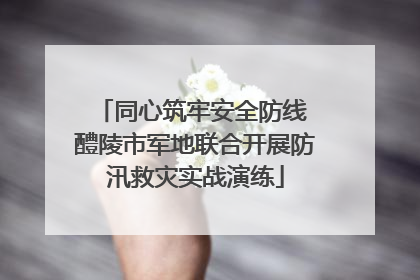 同心筑牢安全防线 醴陵市军地联合开展防汛救灾实战演练