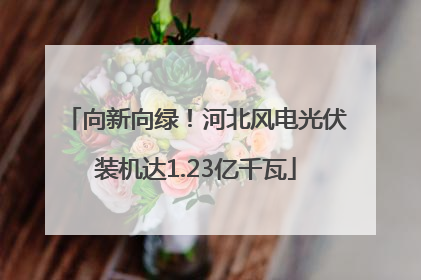 向新向绿！河北风电光伏装机达1.23亿千瓦