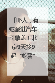 吓人，有蛇藏进汽车引擎盖！北京9天接9起“蛇警”