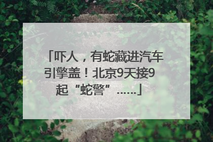 吓人，有蛇藏进汽车引擎盖！北京9天接9起“蛇警”……