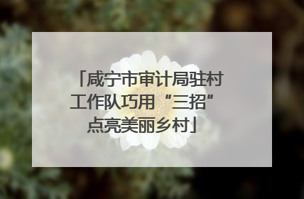 咸宁市审计局驻村工作队巧用“三招”点亮美丽乡村