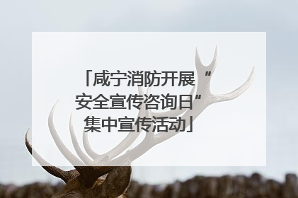咸宁消防开展“安全宣传咨询日”集中宣传活动