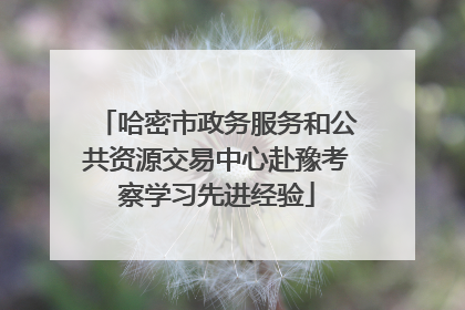 哈密市政务服务和公共资源交易中心赴豫考察学习先进经验