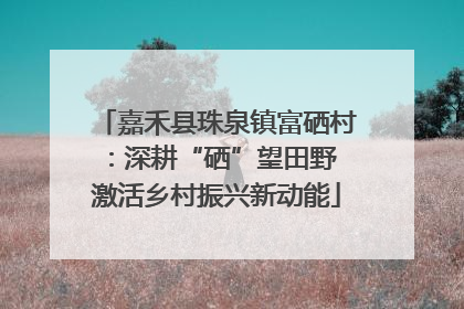 嘉禾县珠泉镇富硒村：深耕“硒”望田野 激活乡村振兴新动能