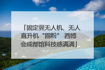 固定翼无人机、无人直升机“圈粉” 西博会成都馆科技感满满