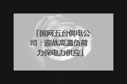 国网五台供电公司：迎战高温负荷 力保电力供应