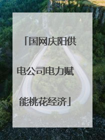 国网庆阳供电公司电力赋能桃花经济