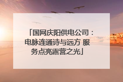 国网庆阳供电公司：电脉连通诗与远方 服务点亮露营之光
