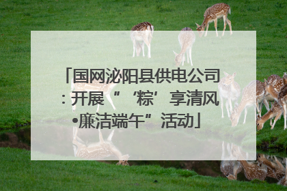 国网泌阳县供电公司：开展“‘粽’享清风 •廉洁端午”活动