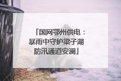 国网鄂州供电：暴雨中守护梁子湖防汛通道安澜