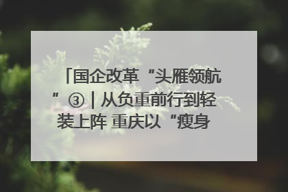 国企改革“头雁领航”③｜从负重前行到轻装上阵 重庆以“瘦身”谋“健体”