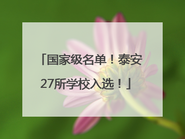 国家级名单！泰安27所学校入选！