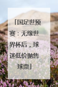 国足世预赛：无缘世界杯后，球迷低价抛售球票