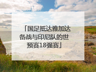 国足抵达雅加达备战与印尼队的世预赛18强赛