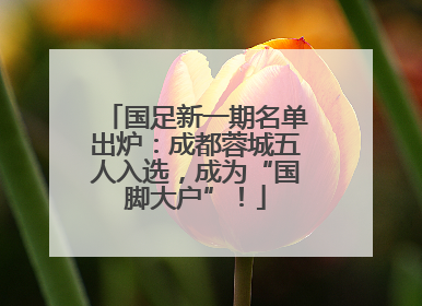 国足新一期名单出炉：成都蓉城五人入选，成为“国脚大户”！
