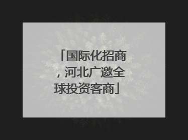 国际化招商，河北广邀全球投资客商