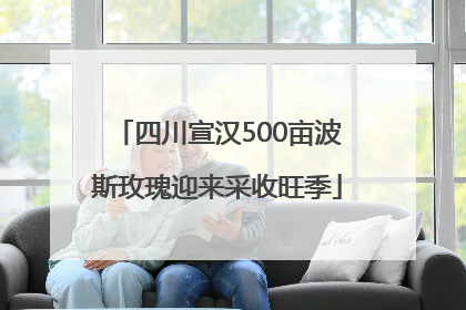 四川宣汉500亩波斯玫瑰迎来采收旺季