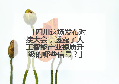四川这场发布对接大会，透露了人工智能产业提质升级的哪些信号？