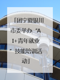 团宁夏银川市委举办“AI+青年就业”技能培训活动