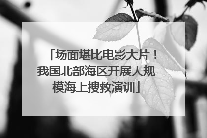 场面堪比电影大片！我国北部海区开展大规模海上搜救演训
