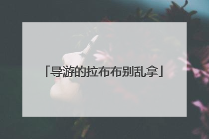 导游的拉布布别乱拿