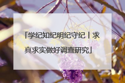 学纪知纪明纪守纪丨求真求实做好调查研究