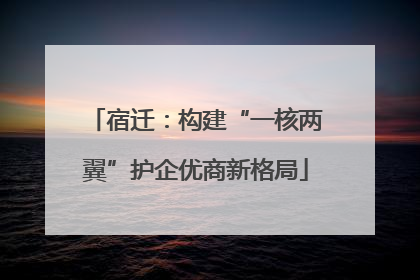 宿迁：构建“一核两翼”护企优商新格局