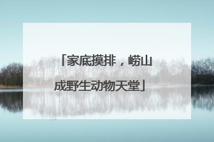 家底摸排，崂山成野生动物天堂