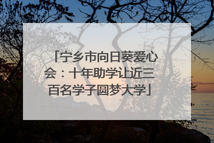 宁乡市向日葵爱心会：十年助学让近三百名学子圆梦大学