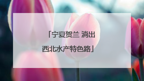 宁夏贺兰 淌出西北水产特色路