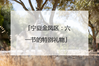 宁夏金凤区：六一节的特别礼物