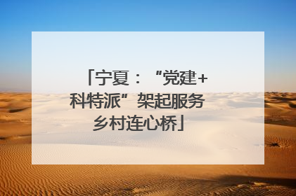 宁夏：“党建+科特派”架起服务乡村连心桥