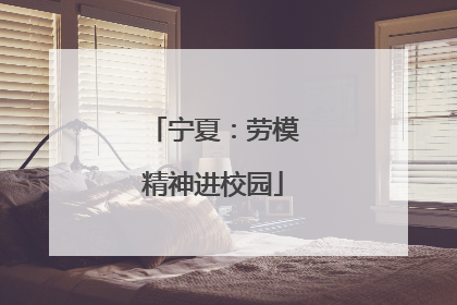 宁夏：劳模精神进校园