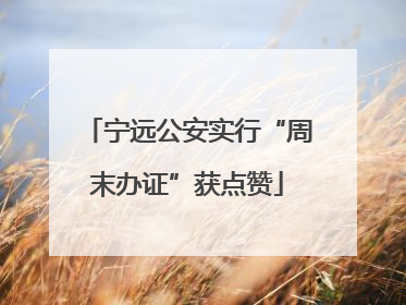 宁远公安实行“周末办证”获点赞