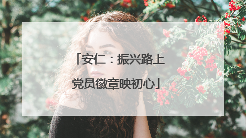 安仁：振兴路上 党员徽章映初心