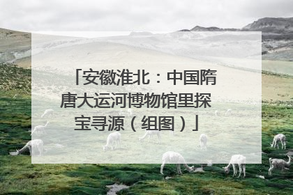 安徽淮北：中国隋唐大运河博物馆里探宝寻源（组图）