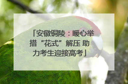 安徽铜陵：暖心举措“花式”解压 助力考生迎接高考