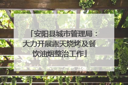 安阳县城市管理局：大力开展露天烧烤及餐饮油烟整治工作